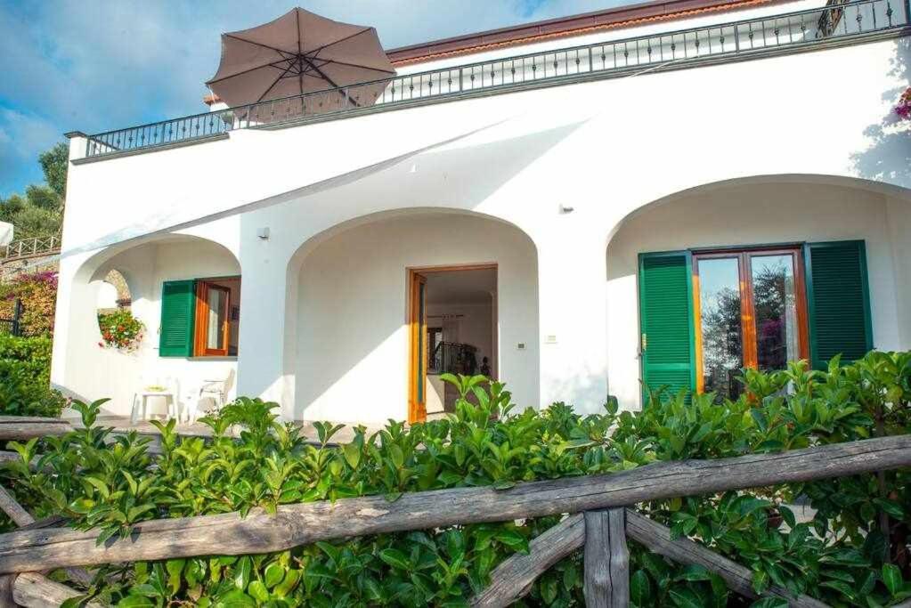 Villa Il Sogno Di Zia Ada Massa Lubrense Kültér fotó